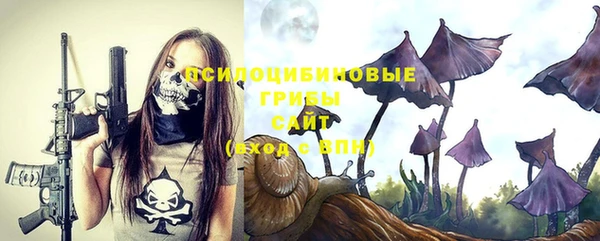 первитин Пестово
